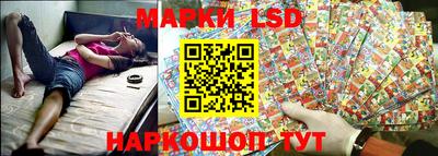 индика Новокубанск