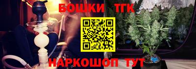 индика Новокубанск
