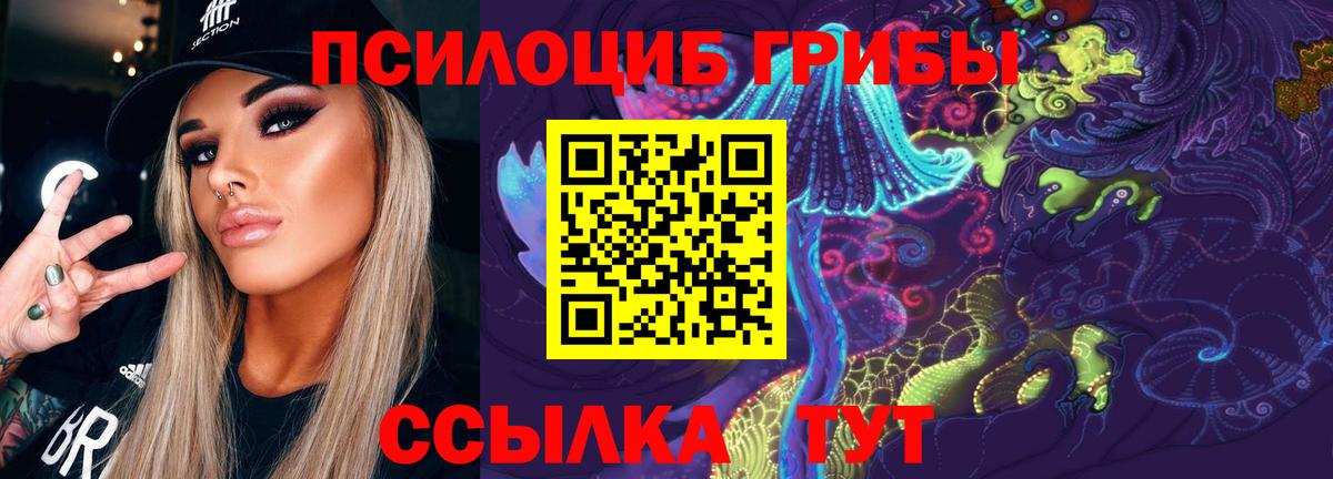 Галлюциногенные грибы GOLDEN TEACHER Тимашёвск